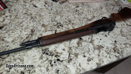 Springfield Armory M1A Standard 1