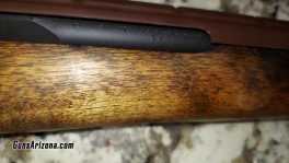 Springfield Armory M1A Standard 5