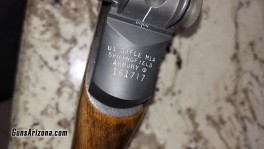 Springfield Armory M1A Standard 6