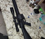 AR10 in .243