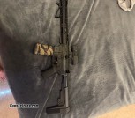 Palmetto Estates custom blackout 300