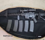 PSA AR-15 with optic