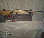 Ruger 10-22