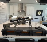 Custom PSA AR10 308