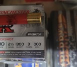 .410 ammo