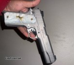 Taurus 1911 .45acp