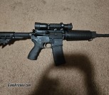 Stag 15