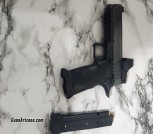 Springfield Prodigy 1911DS 5in 
