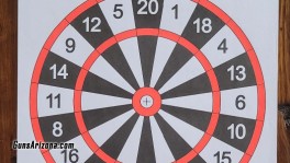 Darts