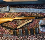 Ruger Mini 14