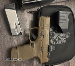 Springfield hellcat 