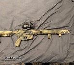 16” 556 AR