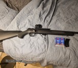 Savage Mark II