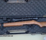 Ruger 10-22