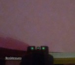 Sig P938