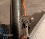 Musket