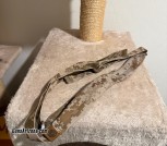IMG_3654