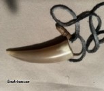 Powder Horn 5-C