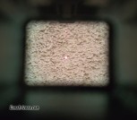 1000010376