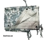 Tarp