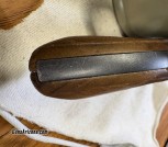 IMG_3952