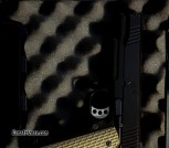 Kimber Warrior