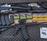 Brand new AR-15, 10/22, Scopes, Magazines, thousands of rounds