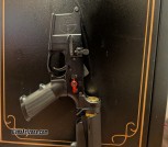 AR LOWER WITH BRACE