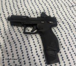 Taurus tx22 toro