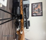 Savage with thumb hole stock perfect for recoil sensitive shooter