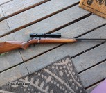 Marlin 783 22 magnum 