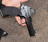Dan Wesson DWX