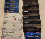 380 ACP ammo