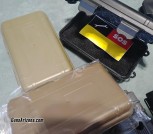 490456bd-16c5-4029-8bf8-335a1a850069