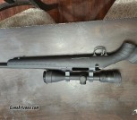 Ruger american 308