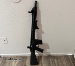 .350 Legend AR w/ Binary Trigger