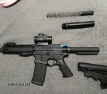 Arp 556