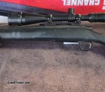 Remington 700 in 223