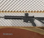 IMG_3600