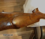 DSC00006 - Copy