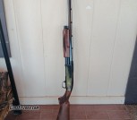 Browning BPS 12 ga.