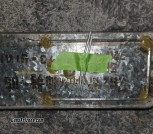 1000000287