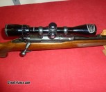 win 70 fw 06 R top action-scope-rings