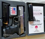 Ruger P91DC (.40 s&w)