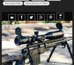 Custom Howa 1500 