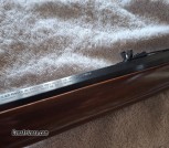 Thompson Center Scout , Black powder rifle 50 cal