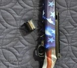 Ruger 2020 vote rifle 22lr