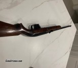 Winchester model 77 22lr
