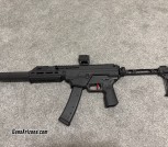 Springfield Kuna FRT Build w/ Brace