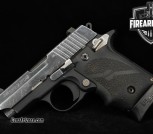 WANTED Sig Sauer P238